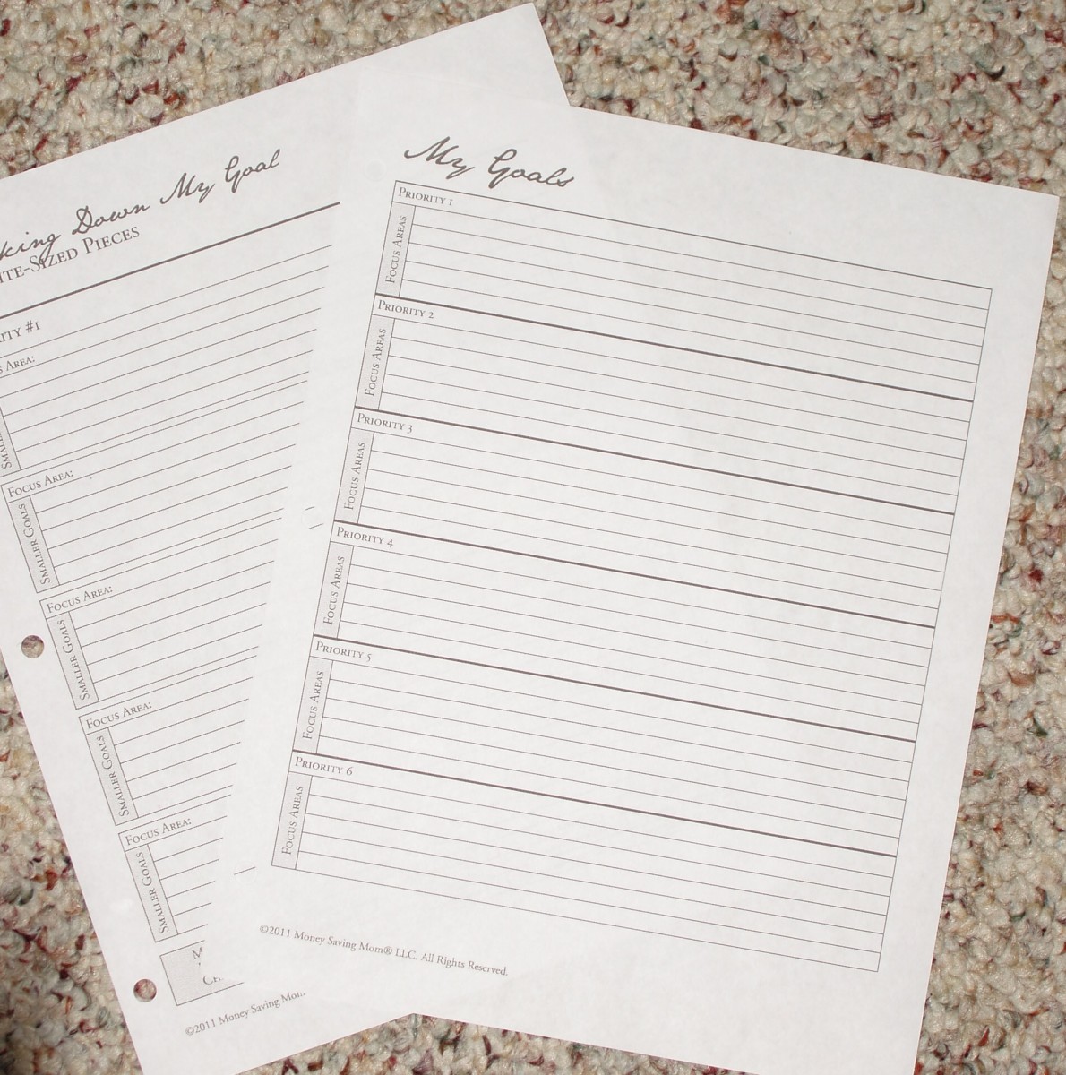 There are quite a variety of goal planning worksheets online. 