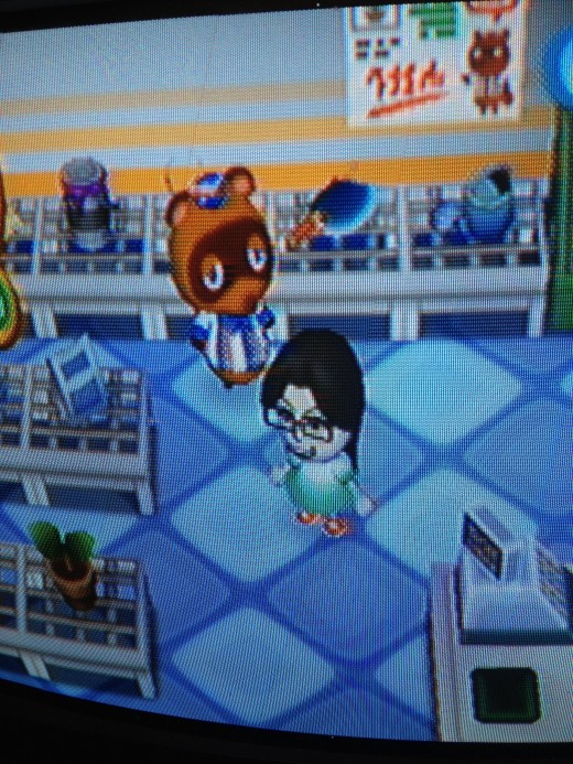Tom Nook's store in Animal Crossing: City Folk