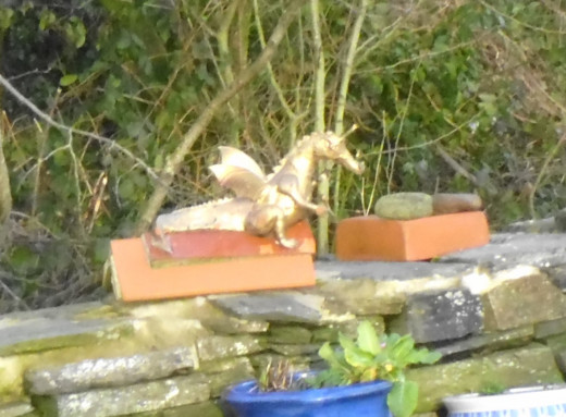 The Golden Dragon of Rose Cottage.