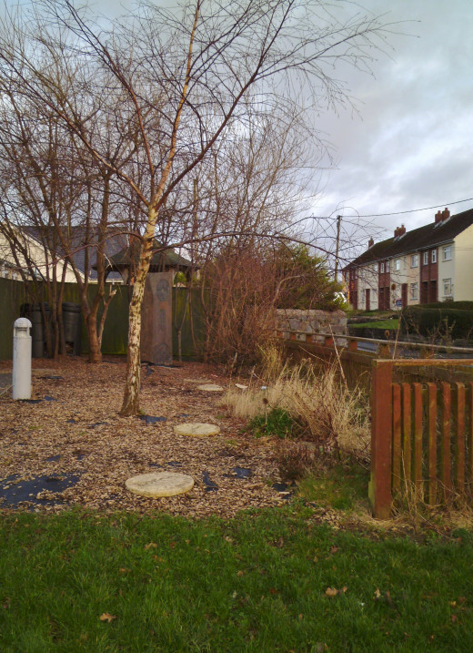 A millennium garden created by Cilgerran School