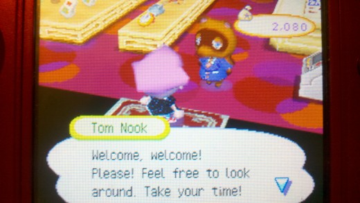 Tom Nook's store in Animal Crossing: Wild World