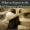 How to Survive the Third Trimester: The End of Pregnancy