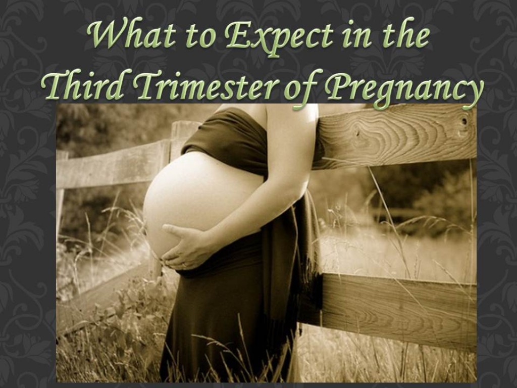 When Do You Start Your 3rd Trimester