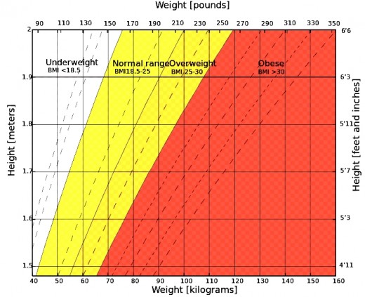 Why BMI is Not a Good Predictor of Cardiovascular Mortality Risk | hubpages