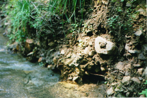 rock hunting on a creek..