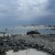 Low water Corals Low water Corals