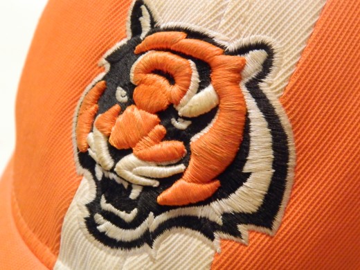 Houston, you have a Who Dey on your hands again