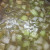 Soup starter preparation