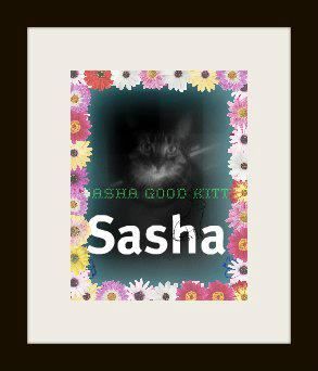 Sasha is 5 years old