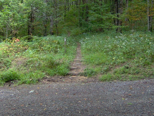 The Appalachian Trail turning off a Forest Service gravel road near Hot Springs, NC