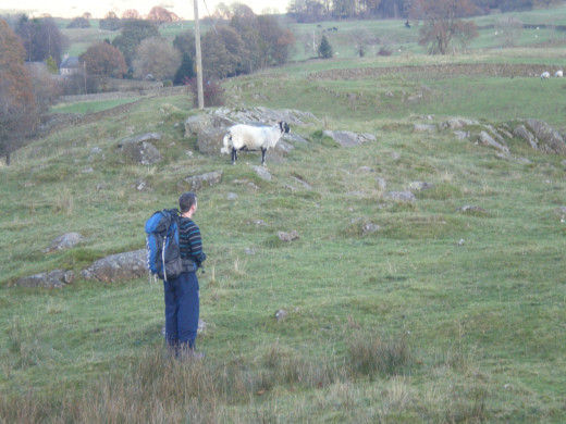 Sheep leisurely roam the countryside throughout the park.  We were both enjoying some beautiful scenery here...