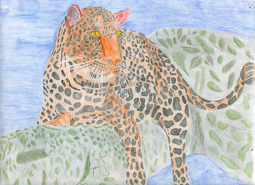 Picture I drew of a leopard.