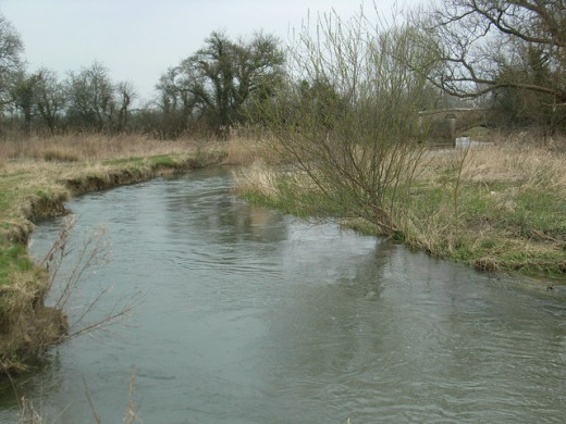 Undercuts in a riverbank can provide excellent feeding locations for hungry fish.