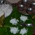 idiyappam is usually made in the same vessel used to cook Idli.. you may either directly put coconut scrapping and start making idiyappam. 