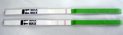 A positive ovulation prediction test (bottom) shows a test line that intensifies in color over the baseline color.