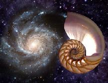 Pantheism, pictured as imagined by the world Pantheist movement (yes, it's the universe and a sea shell)