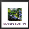 Canopygallery profile image
