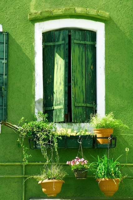green window