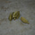 add 3 or 4 cardamom after tearing the same into the jaggerry while boiling