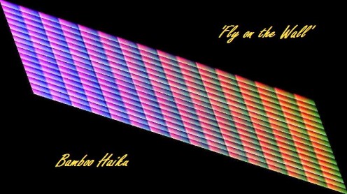- Fly on the Wall -