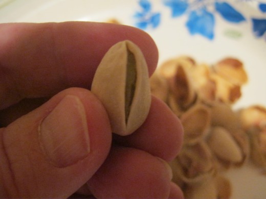 Here is the difficult, only partially opened pistachio nut I chose for this demonstration.