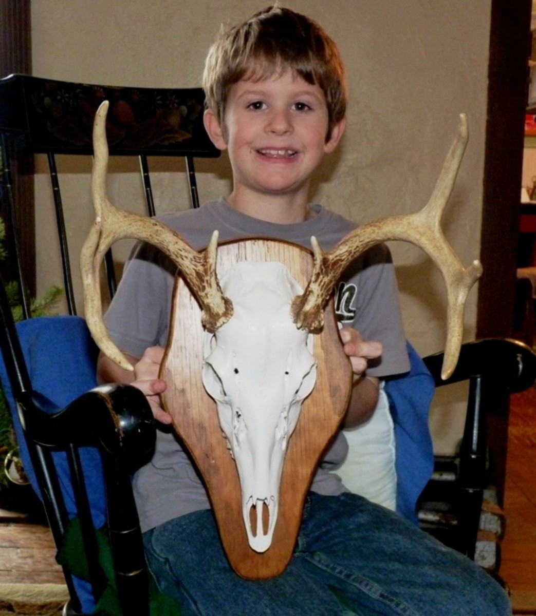 Helped the neighbor kid mount his grandpa's deer skull.