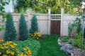Common Shrubs