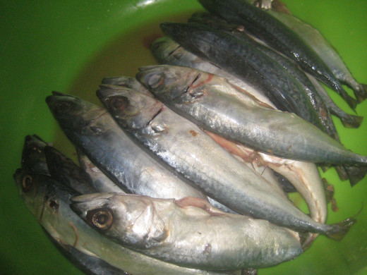 Galunggong, grouper fish, ideal as smoked fish (Photo Source: Ireno Alcala aka travel_man1971)