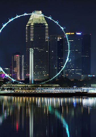 Singapore Flyer at Night