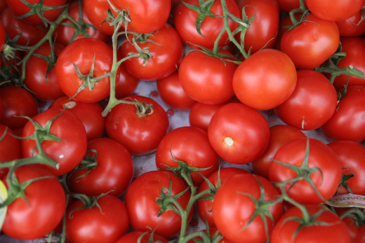 Tomatoes contain lycopene in abundance,