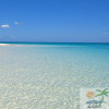 Beyondcebu profile image