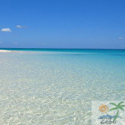 Beyondcebu profile image