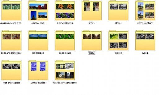 Next step: organize your photos by subject, with creative names.
