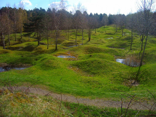 This is a picture taken in 2005 of the battlefield site at Verdun.