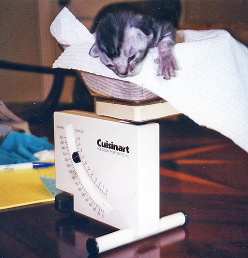 Tippin' the scales.