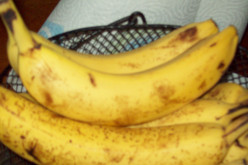 Bananas Anyone