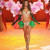 Alessandra Ambrosio Alessandra Ambrosio