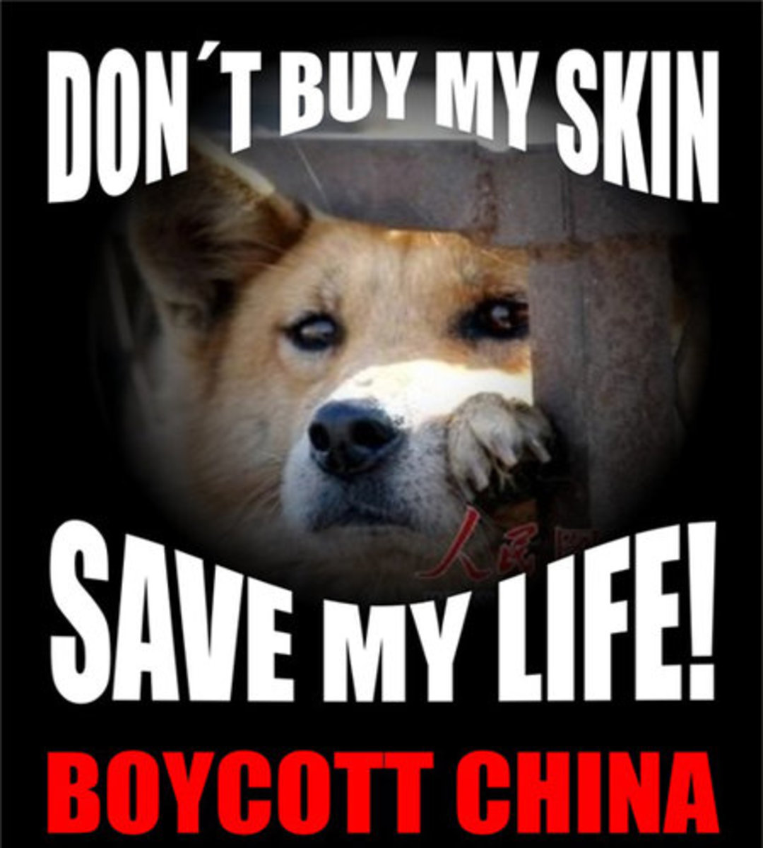 Dog in China.   It's not difficult to boycott products Made in China.  You just don't buy them.