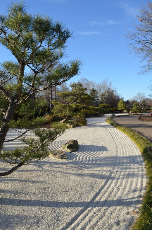Along a path in the garden, it is so lovely.