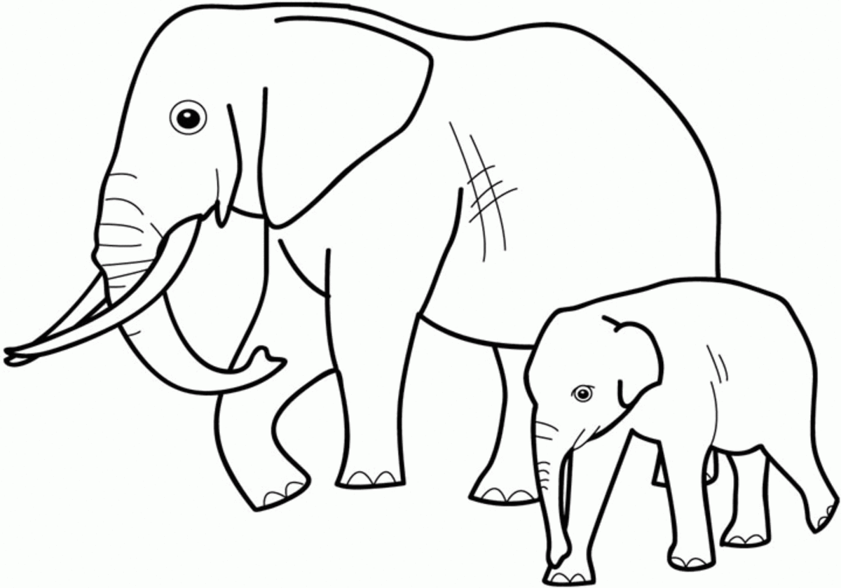 elephant-printable-coloring-pages-hubpages