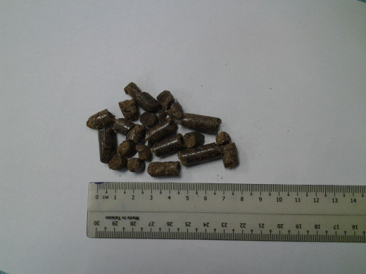 EFB Pellet is a new renewable energy from Malaysia