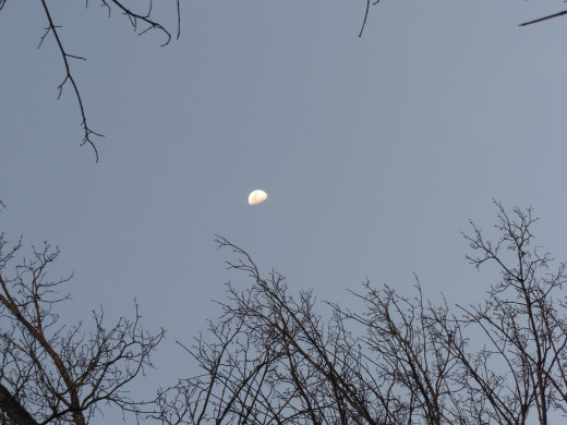 The moon is often visible during the day, especially when it's early in the morning or early evening.