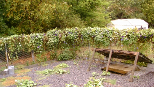 Fall 2010