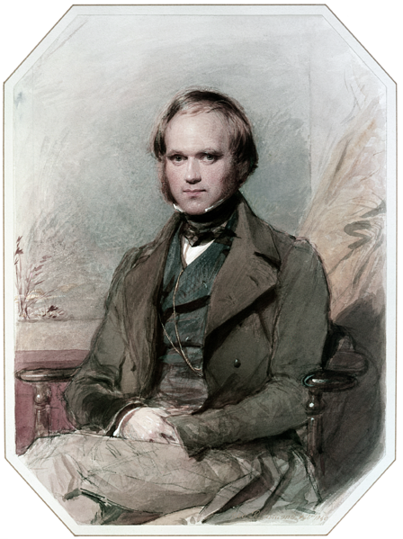 Charles Darwin, the greatest thinker in the history of evolutionary biology.