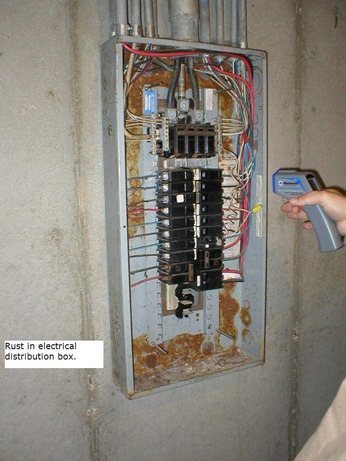 Any rust in the panel is a sign of water leakage.  It is unsafe and a code violation.