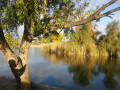 A place to rest....