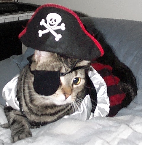 Wearing a Halloween pirate girl outfit, complete with eye patch and hat.