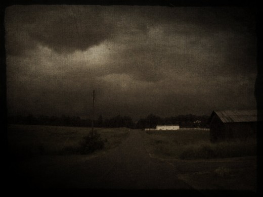 photo taken by me - EclecticFusion