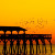 I love this picture of the pier at sunset with the birds. I love this picture of the pier at sunset with the birds.
