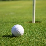 golf-swing profile image